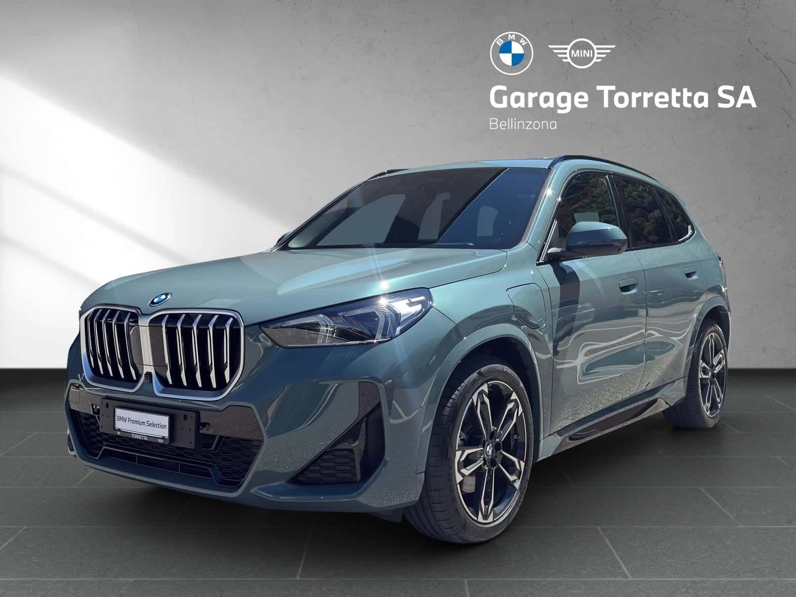BMW X1