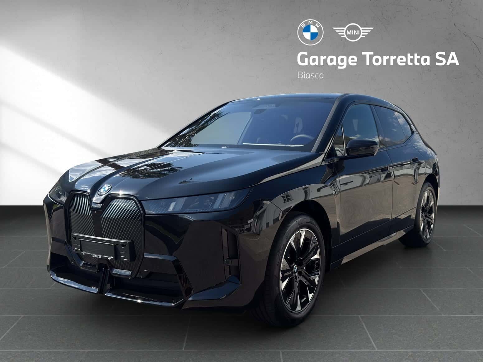 BMW iX