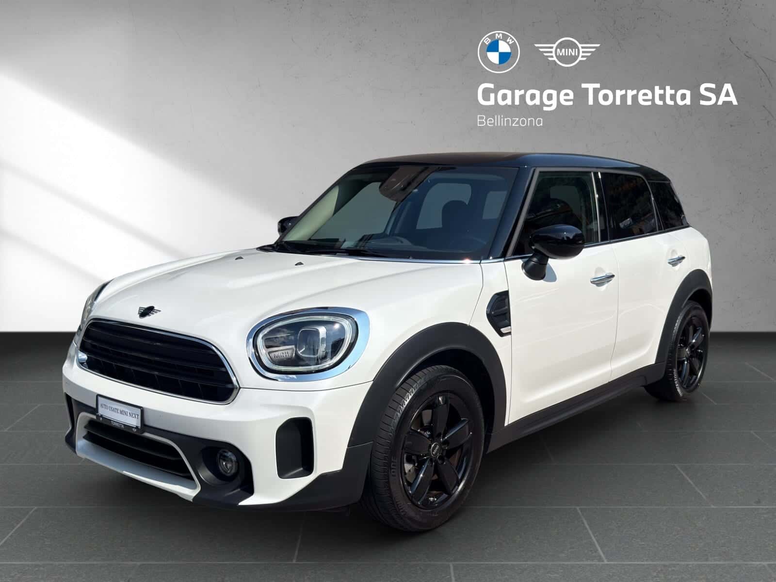 Mini Mini Countryman