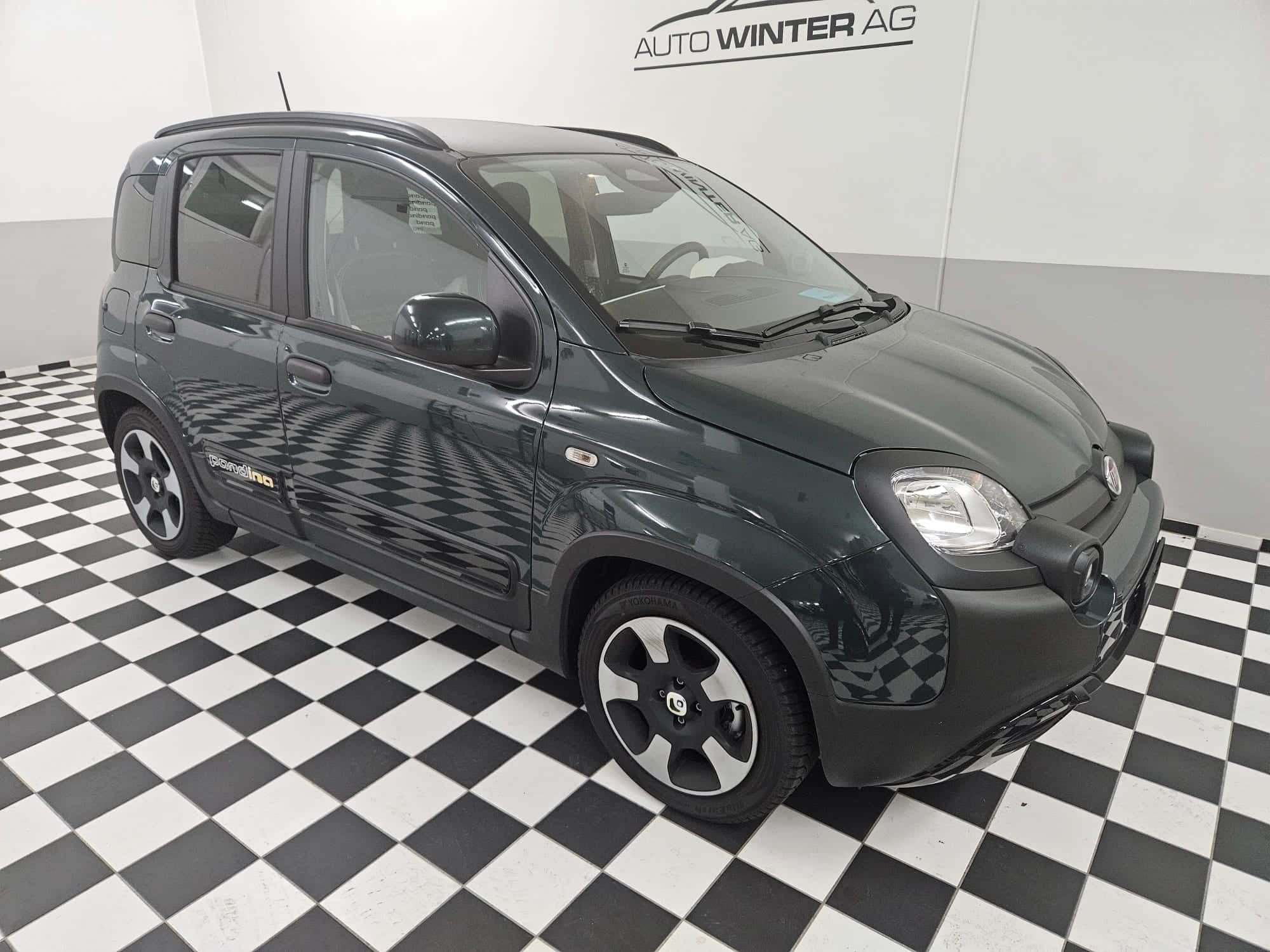 Fiat Pandina