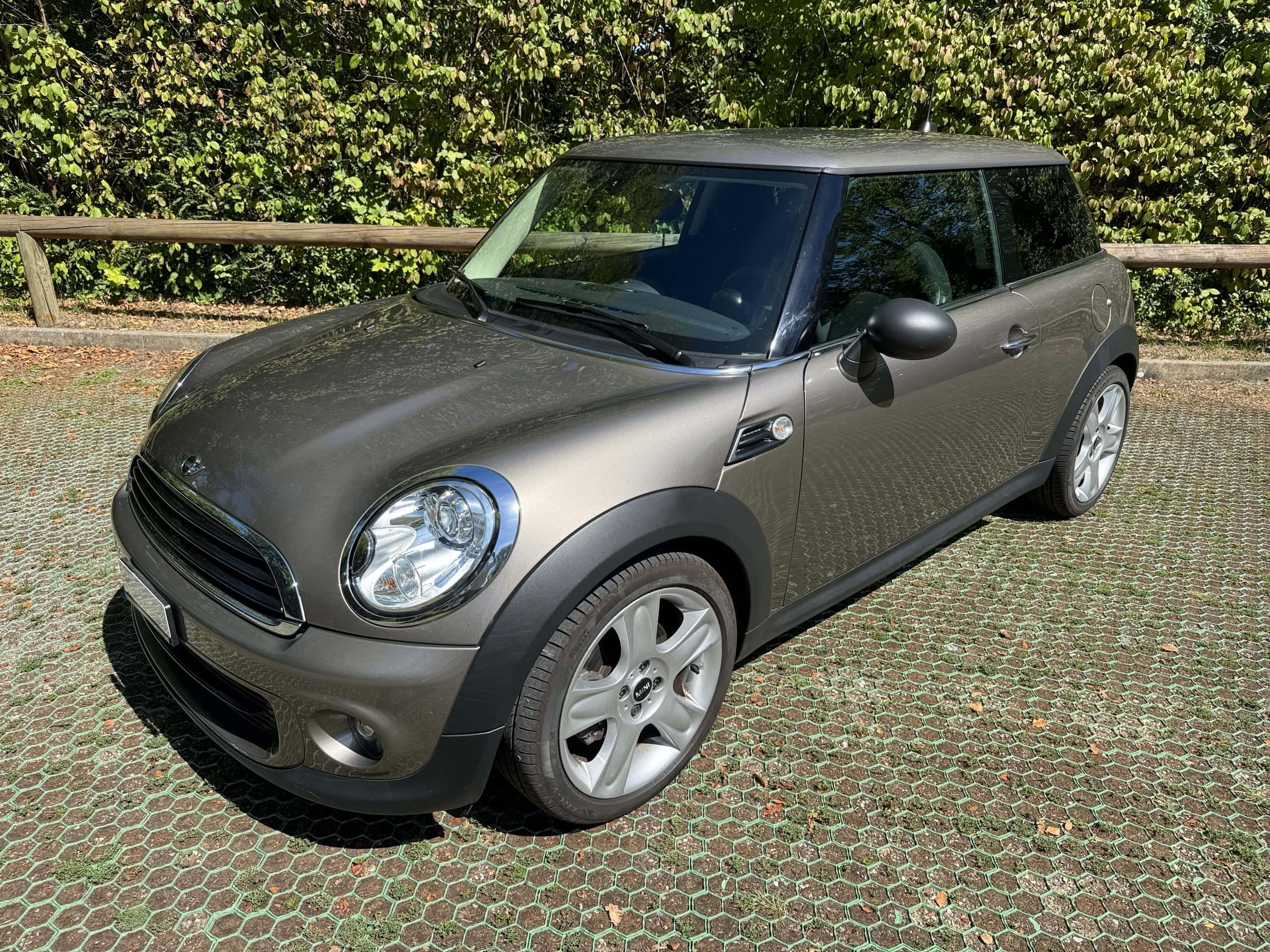 Mini Mini