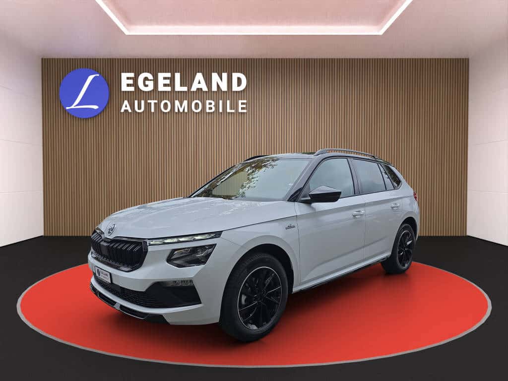 Skoda Kamiq