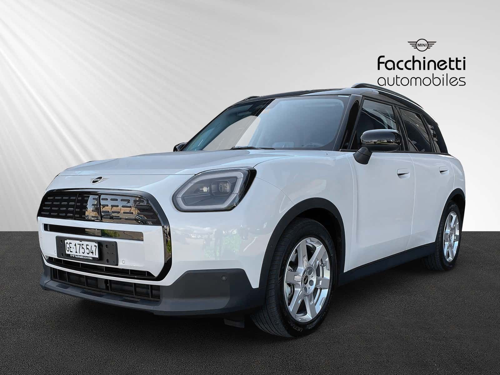Mini Mini Countryman