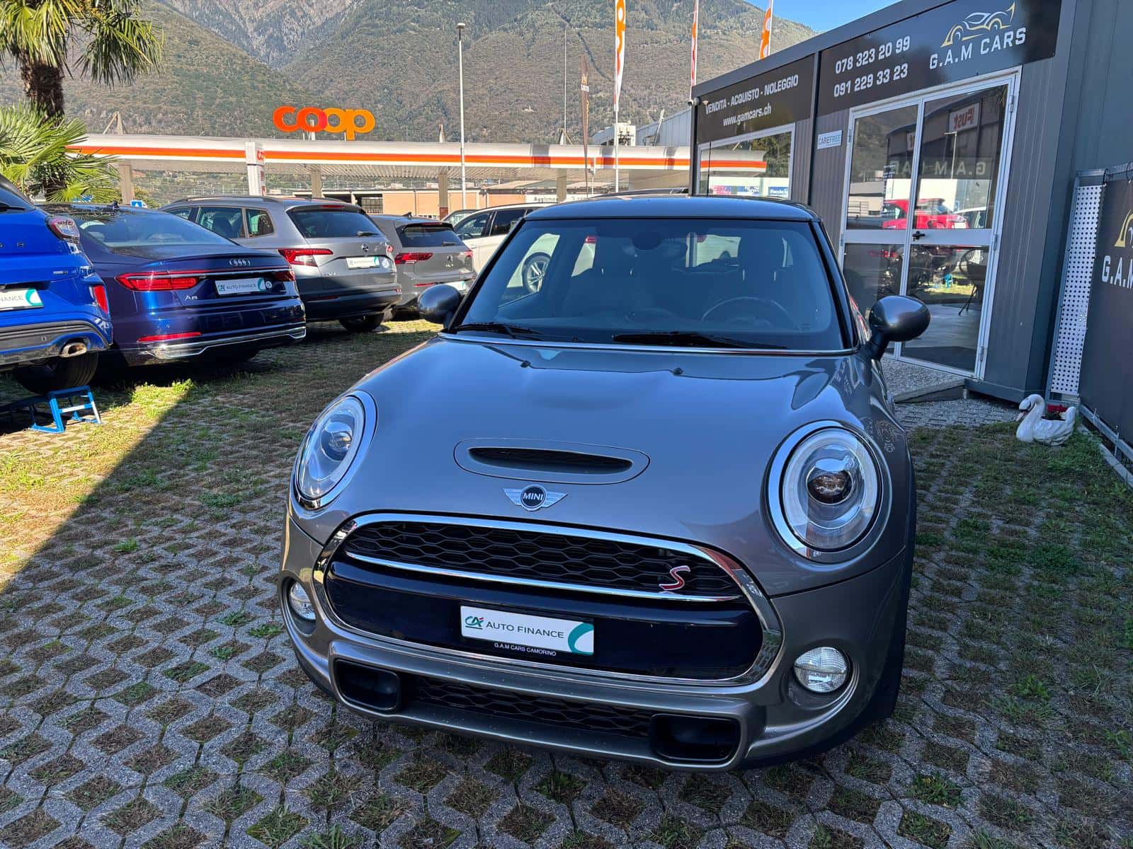 Mini Mini