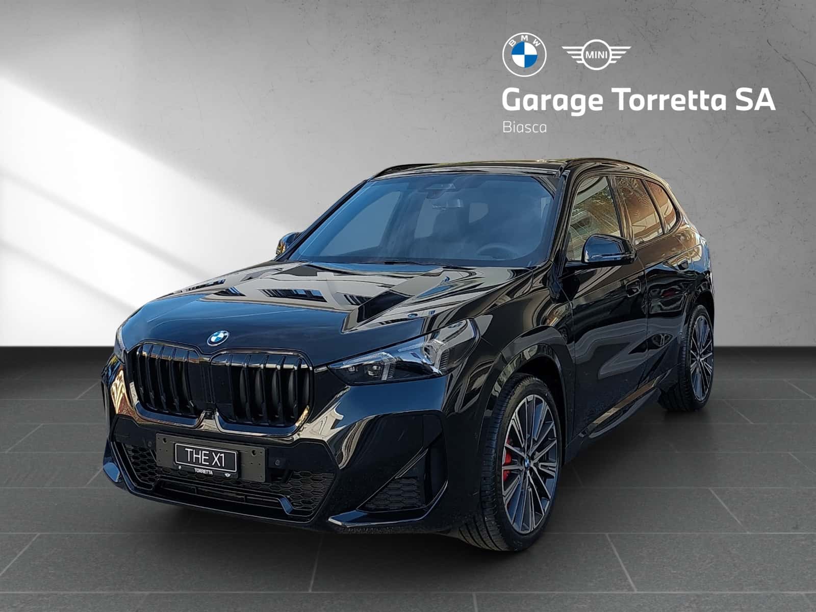 BMW X1