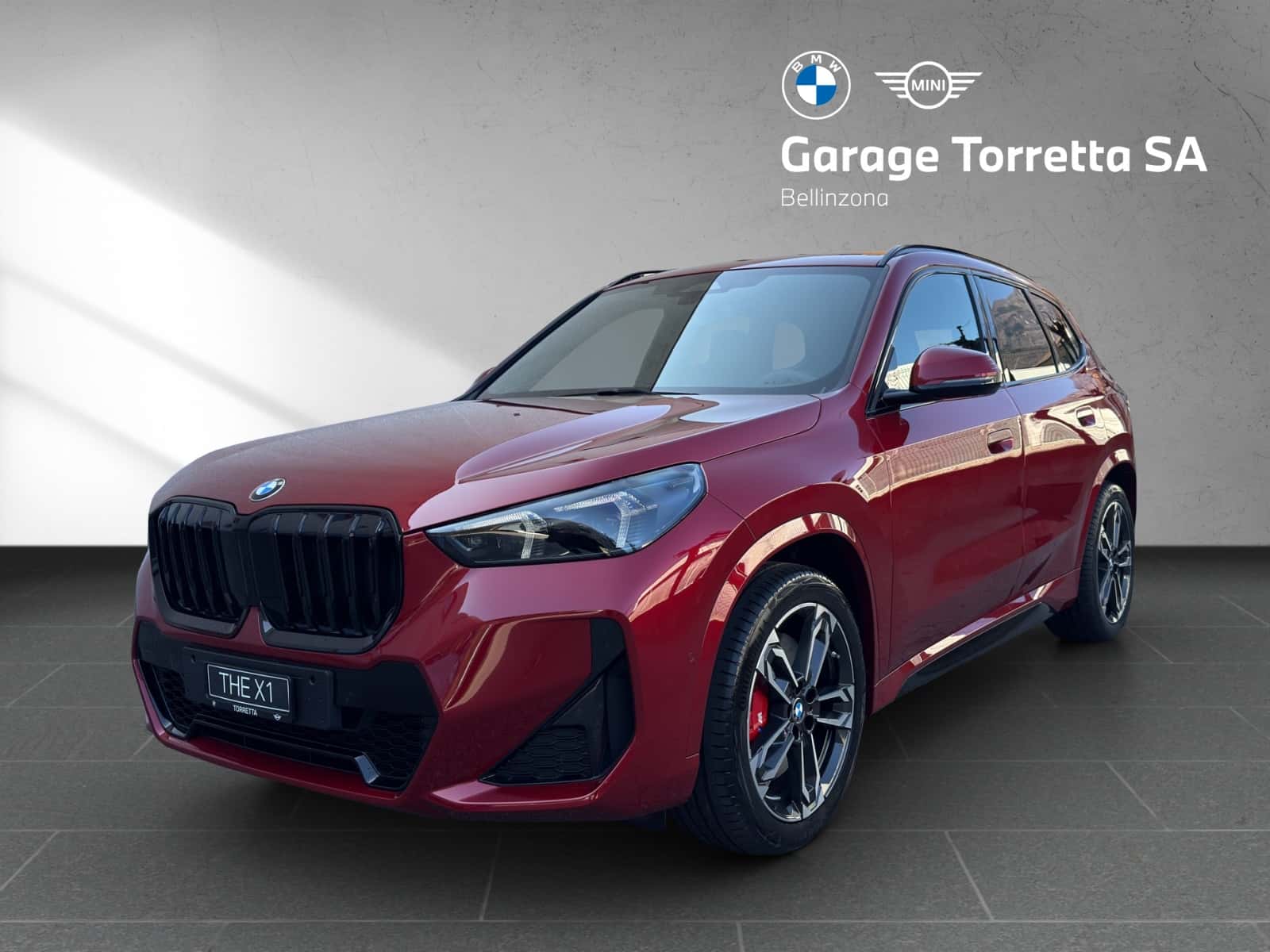 BMW X1