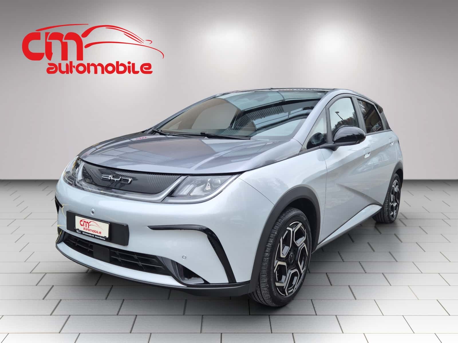 BYD Dolphin