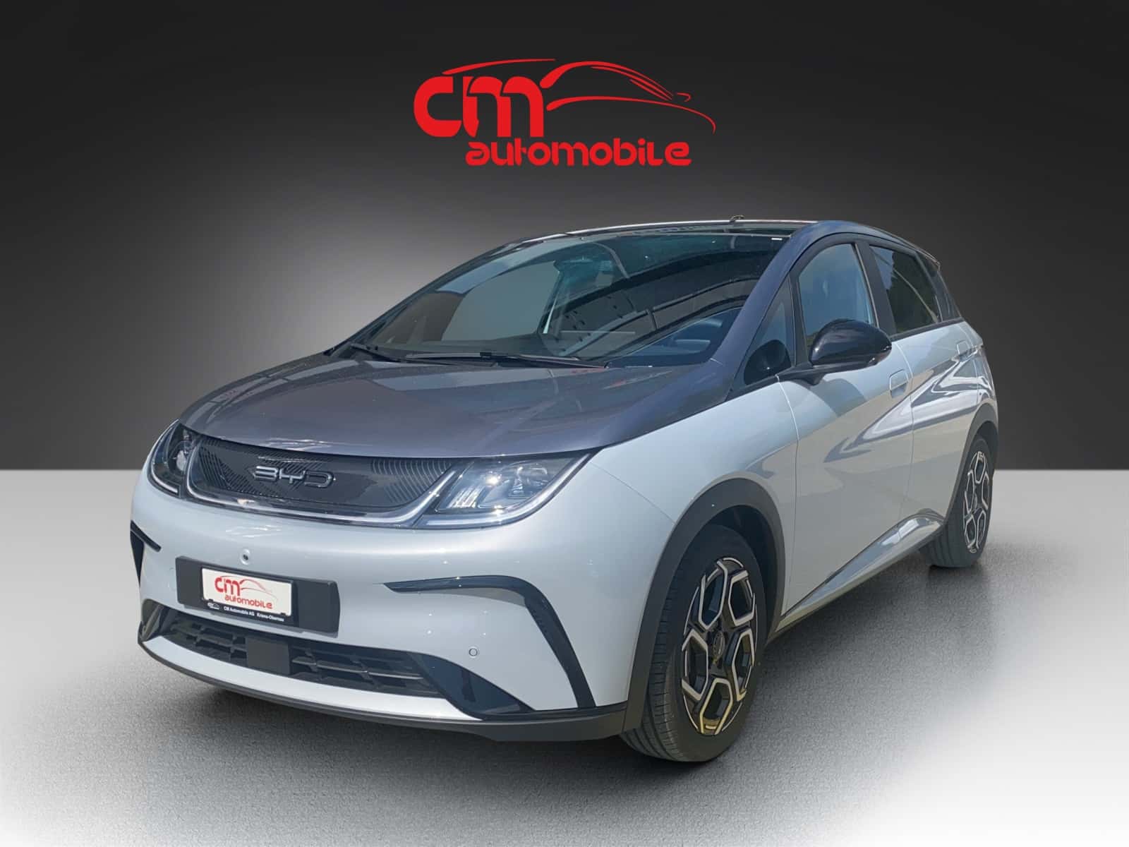 BYD Dolphin