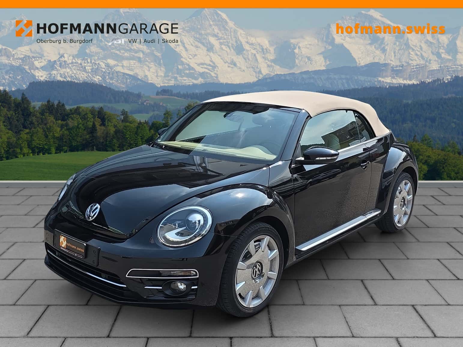VW Beetle
