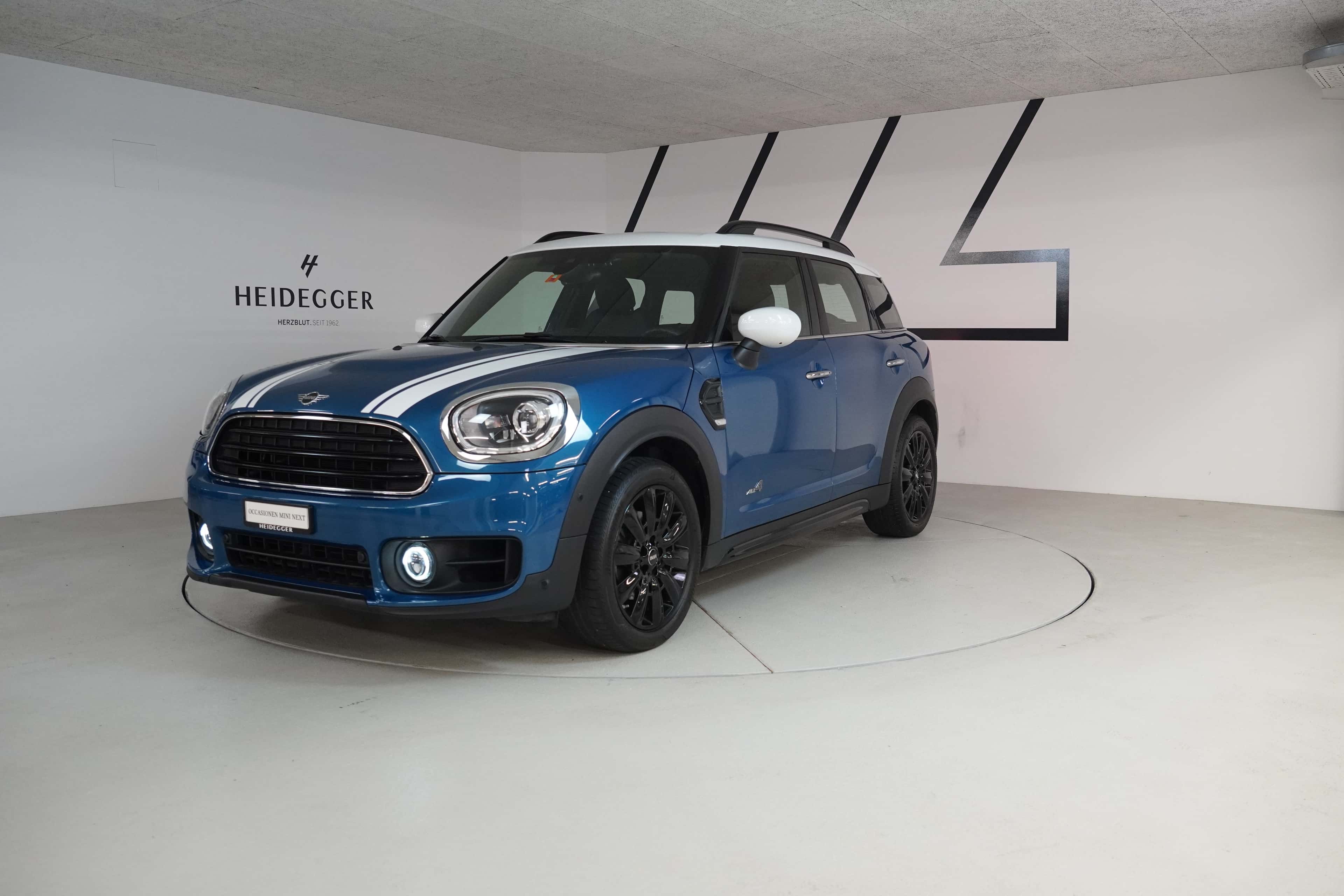 Mini Mini Countryman