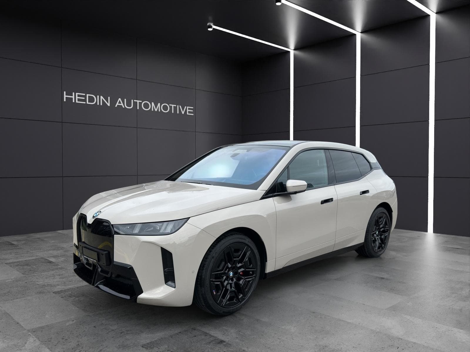 BMW iX iX xDrive45