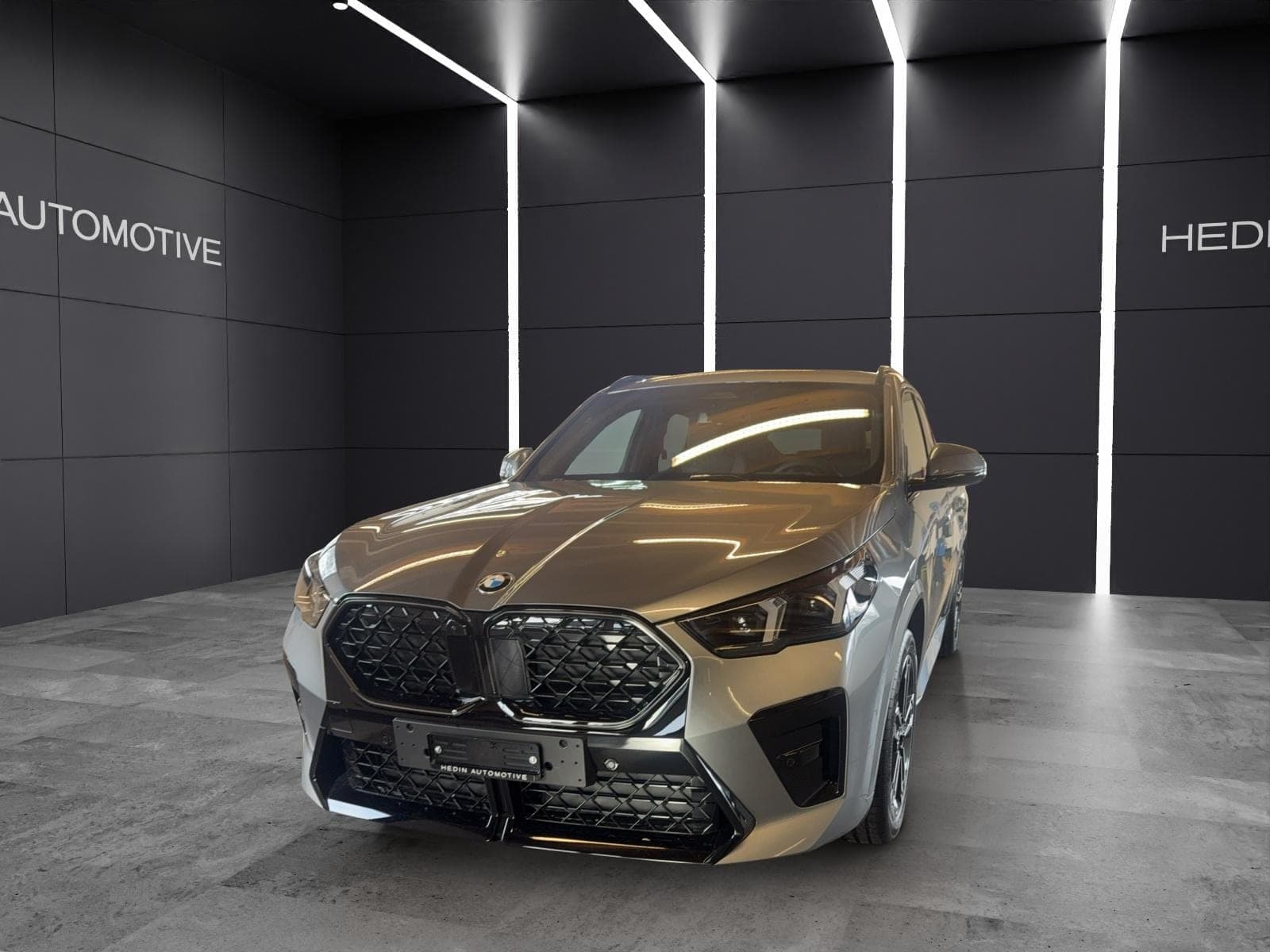 BMW X2 X2 20d xDrive paddles