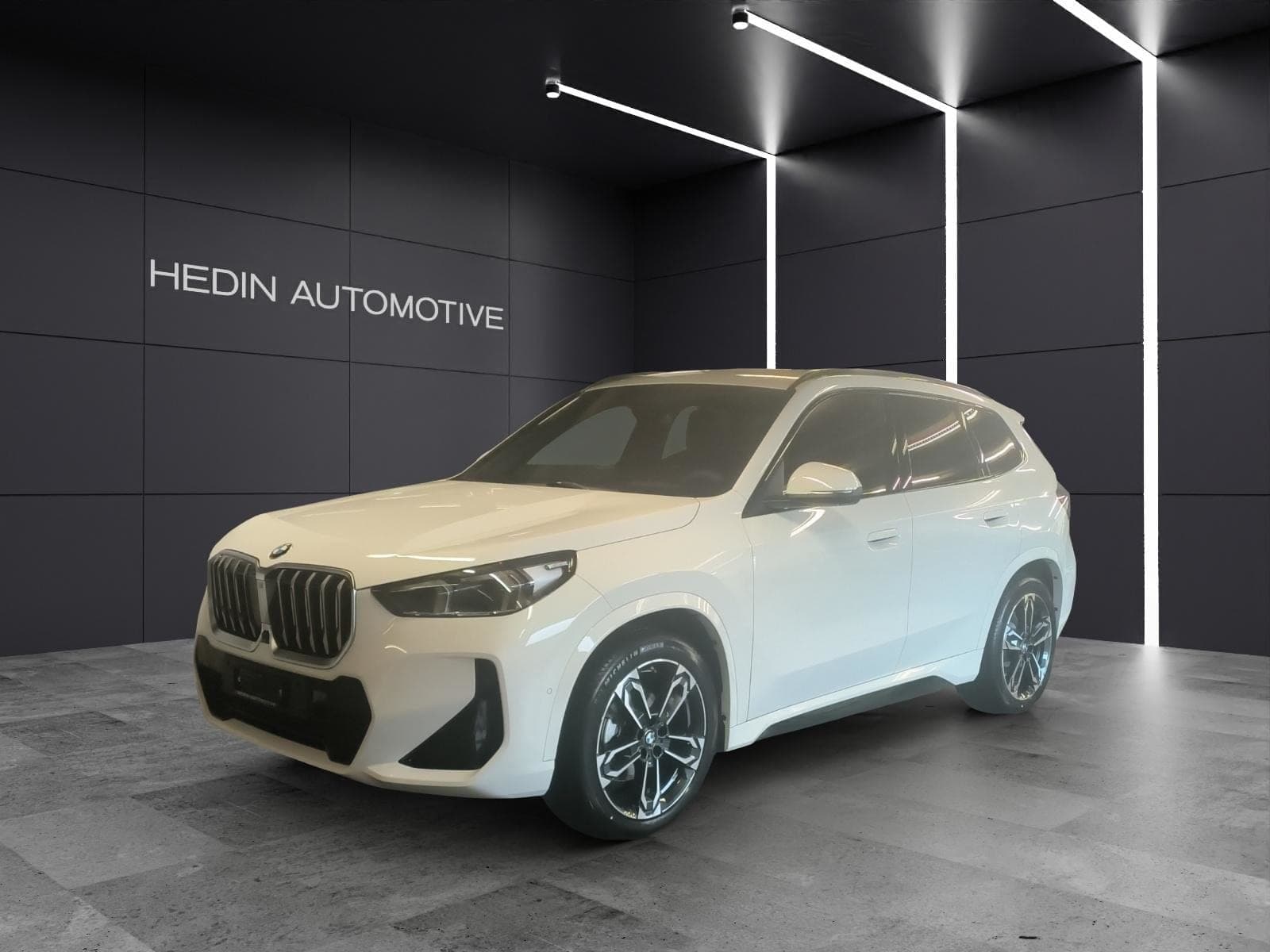BMW X1 X1 20d xDrive paddles