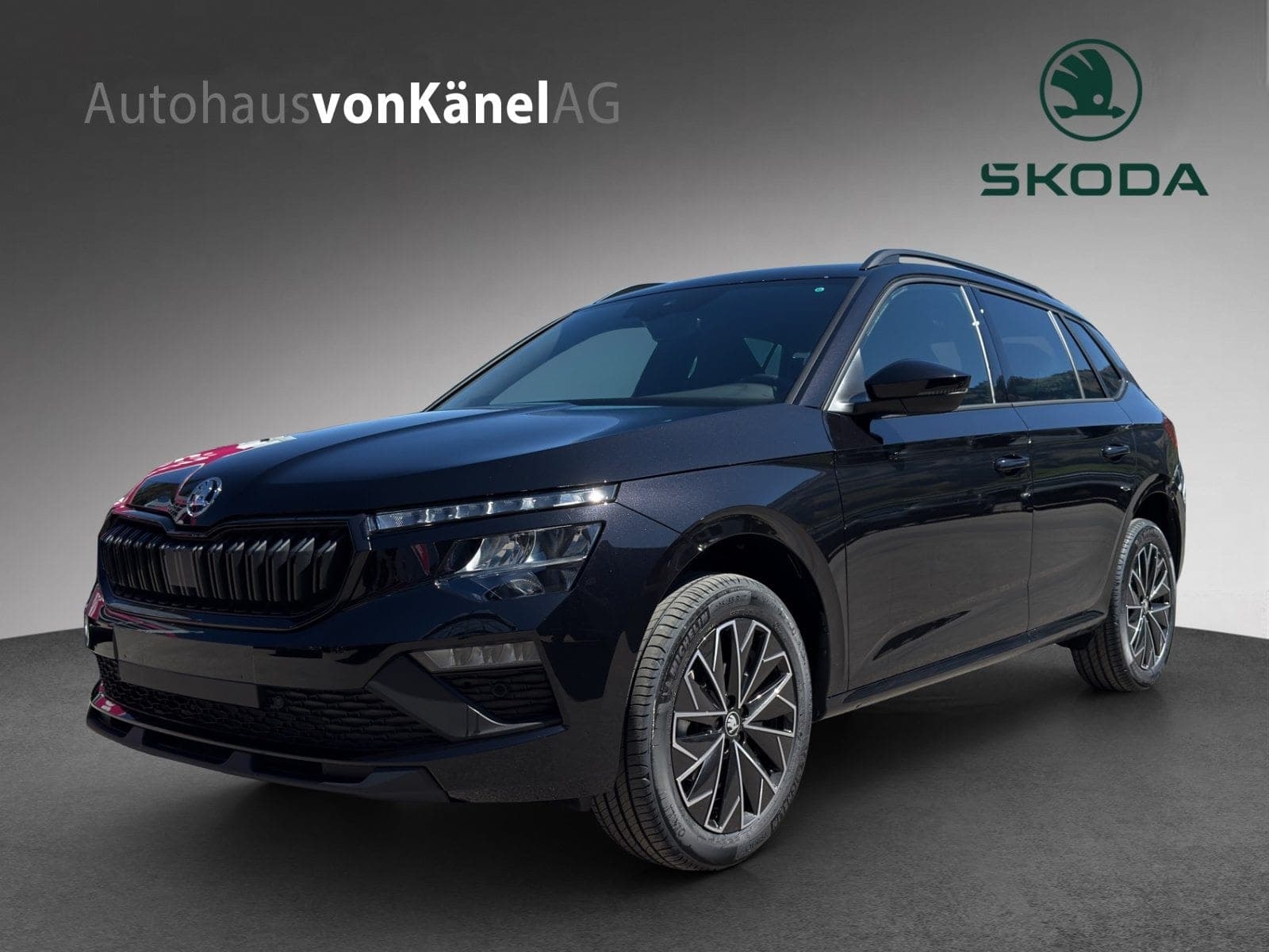 Skoda Kamiq Kamiq Dynamic (Netto)