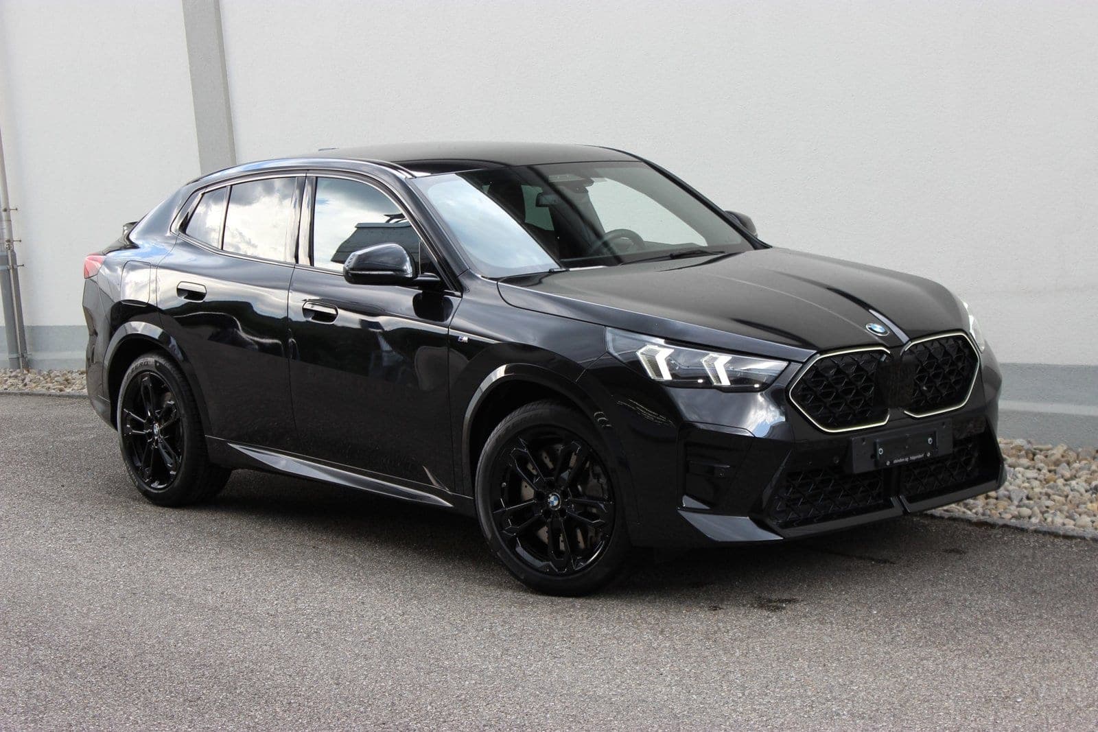 BMW X2 X2 20d 48V M Sportpaket Pro