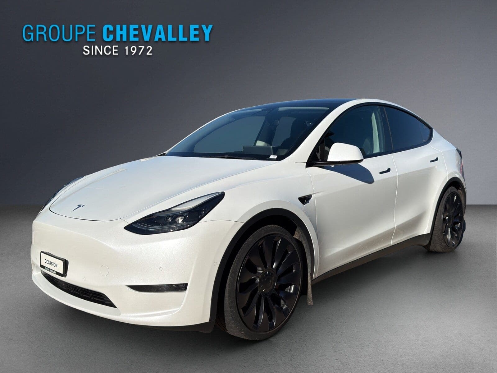 Tesla Model Y Model Y Performance