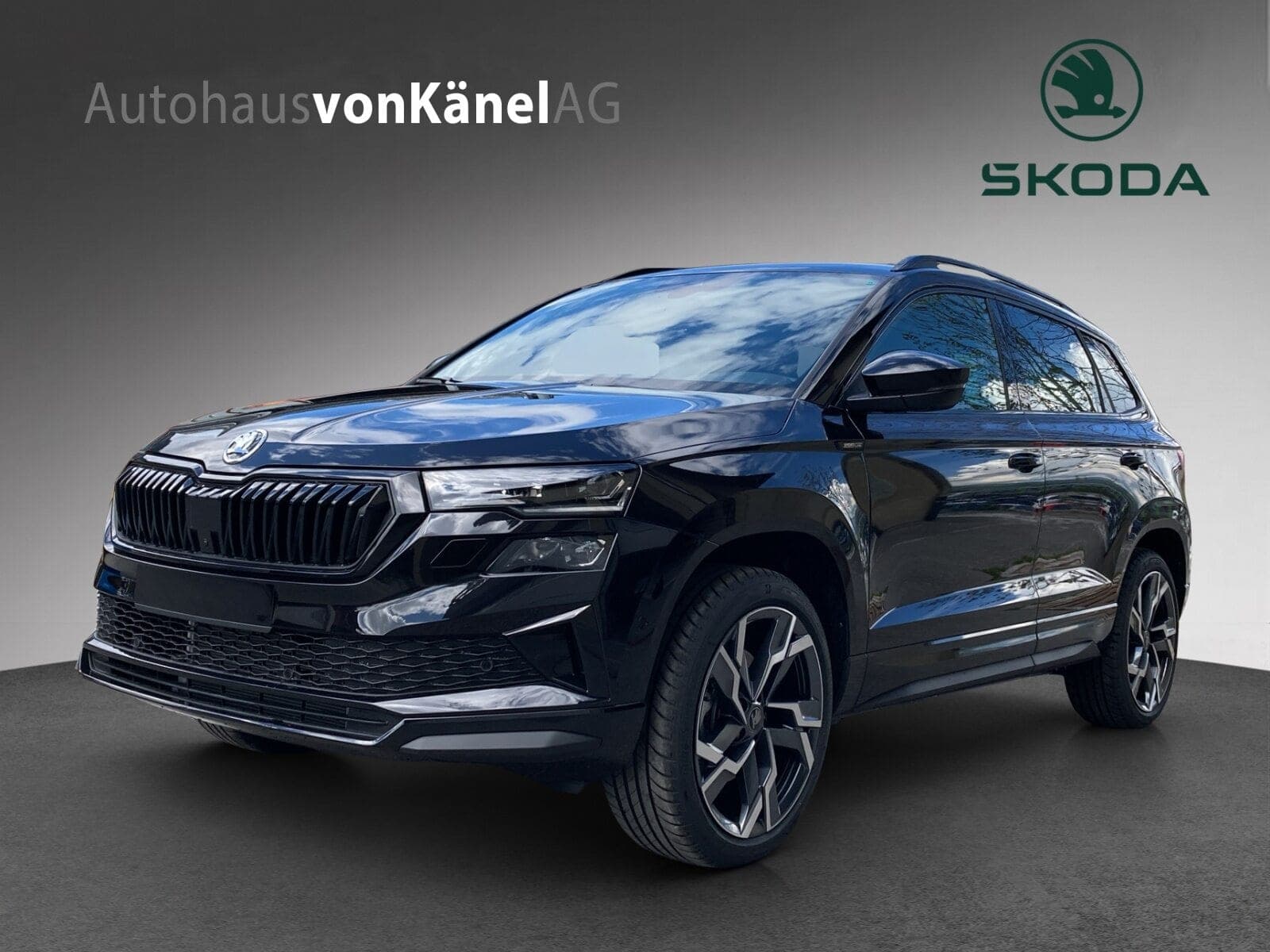 Skoda Karoq Karoq Sportline