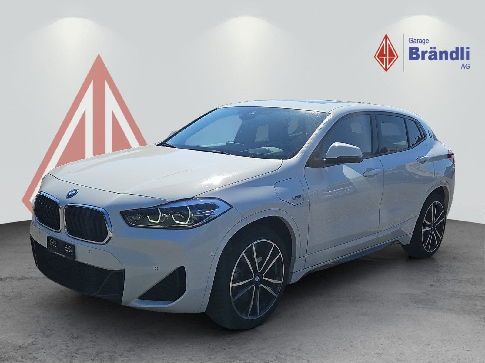 BMW X2 X2 25e