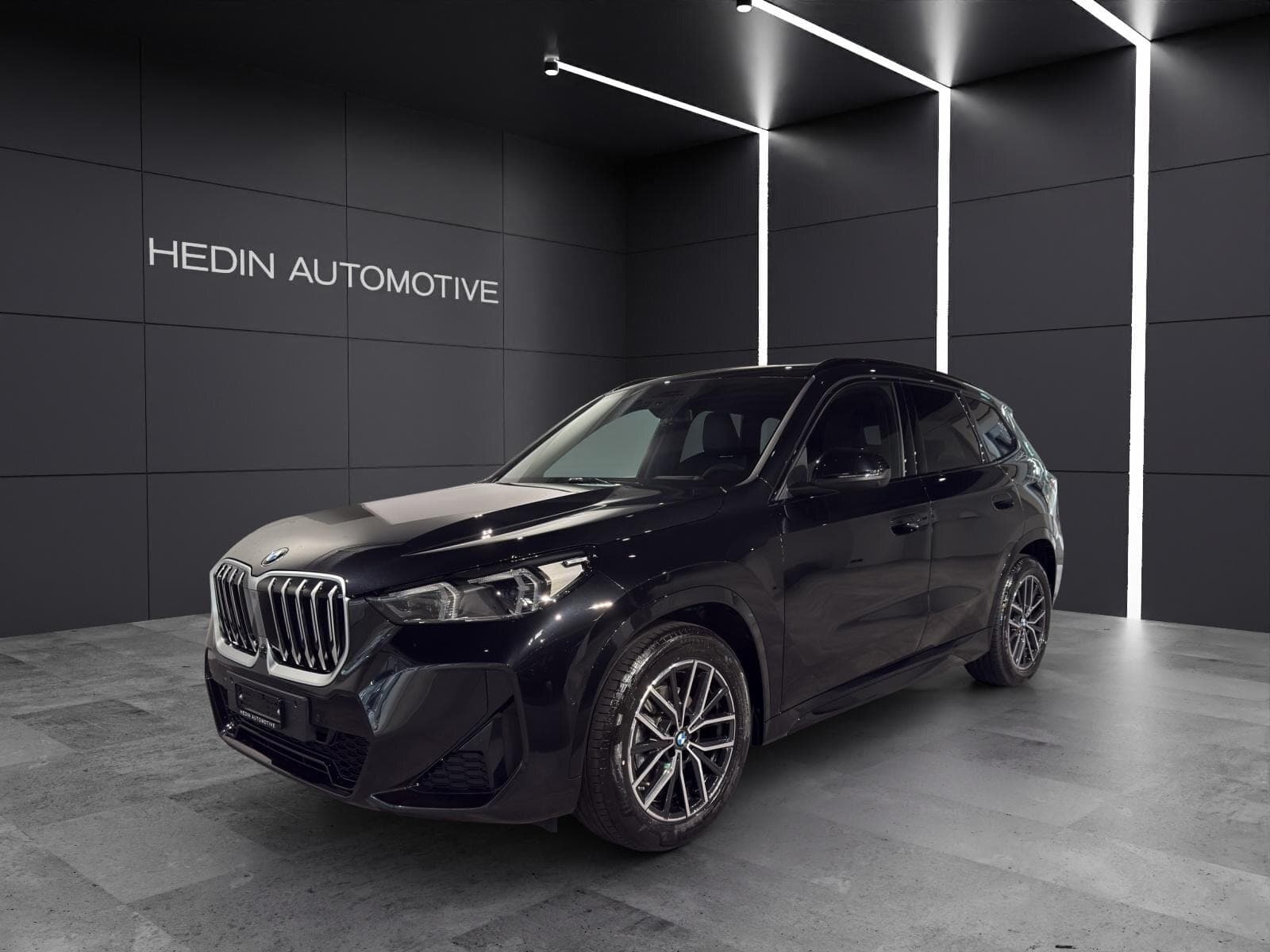 BMW X1 X1 20d xDrive paddles