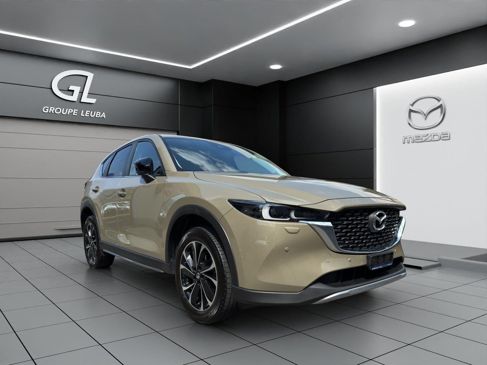 Mazda CX-5 CX-5 e-Skyactiv-G 165 Newground AWD Automat