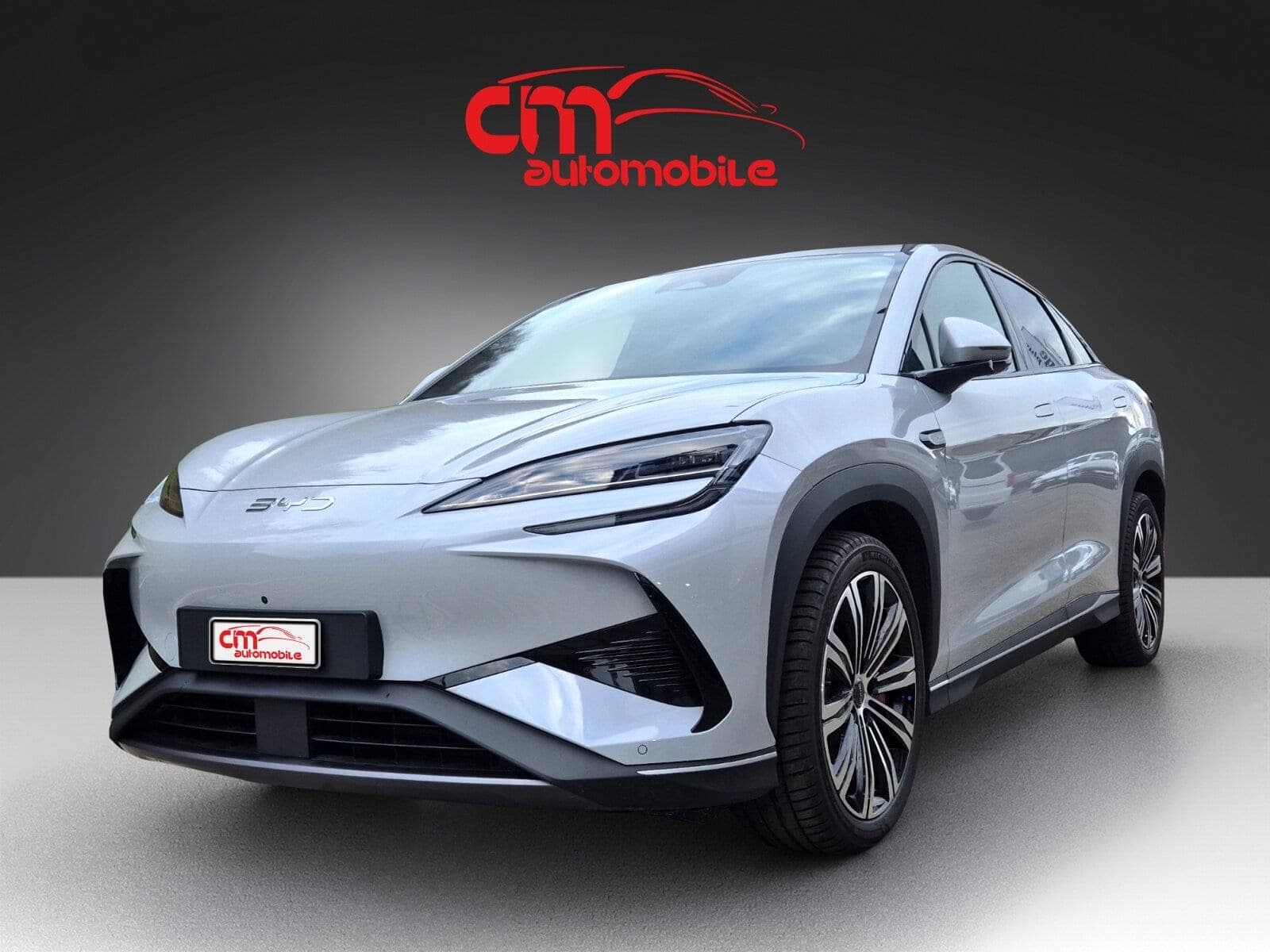 BYD Sealion 7 Sealion 7 91,3 kWh Excellence AWD