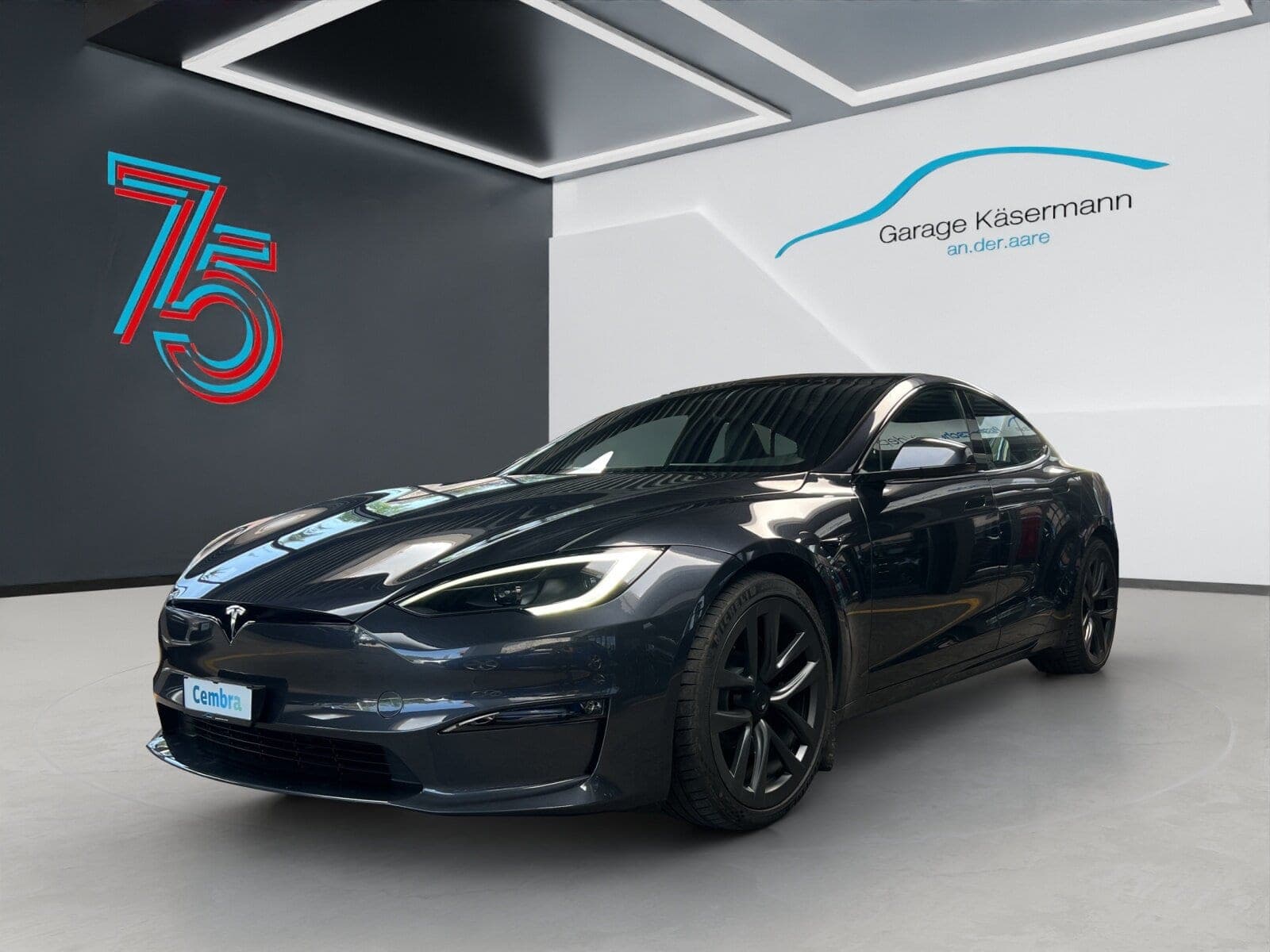 Tesla Model S Model S