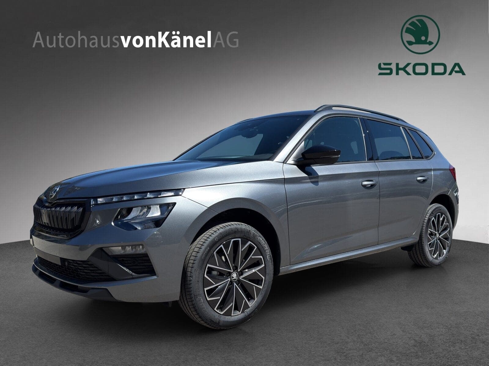 Skoda Kamiq Kamiq Dynamic (Netto)