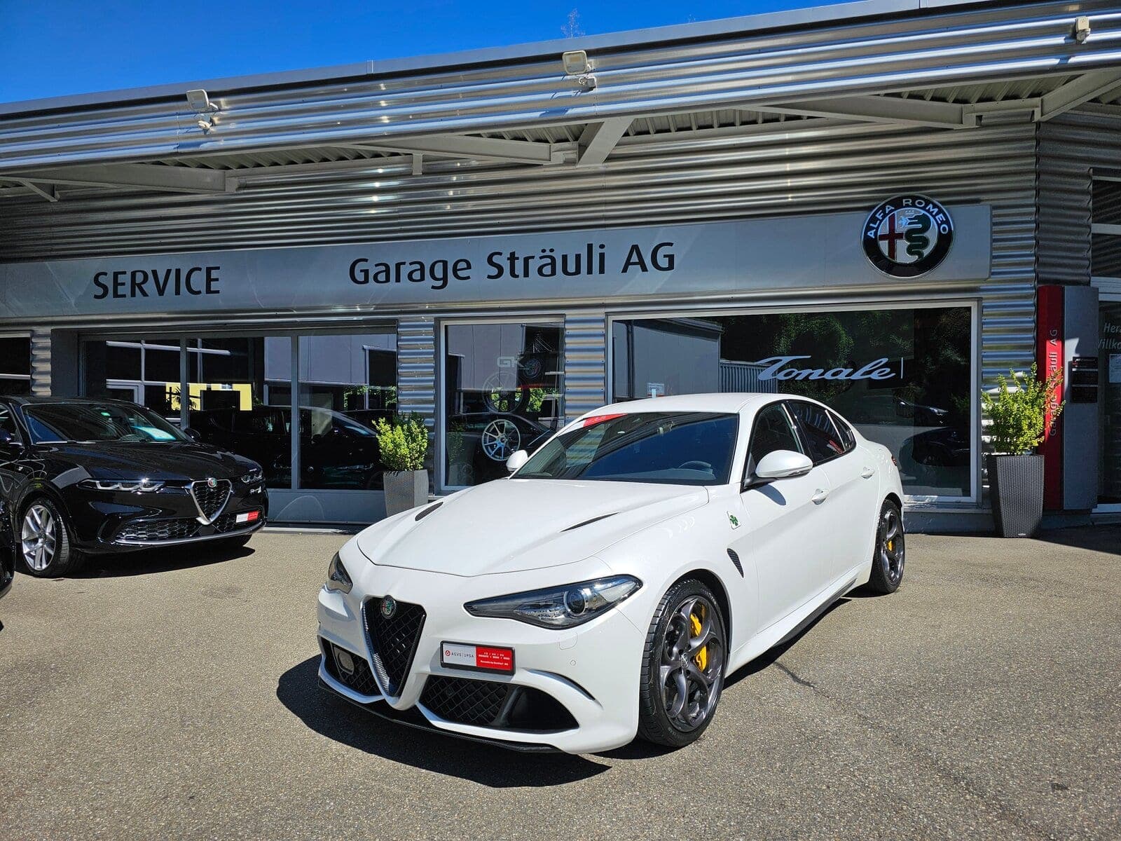 Alfa Romeo Giulia Giulia 2.9 V6 Quadrifoglio