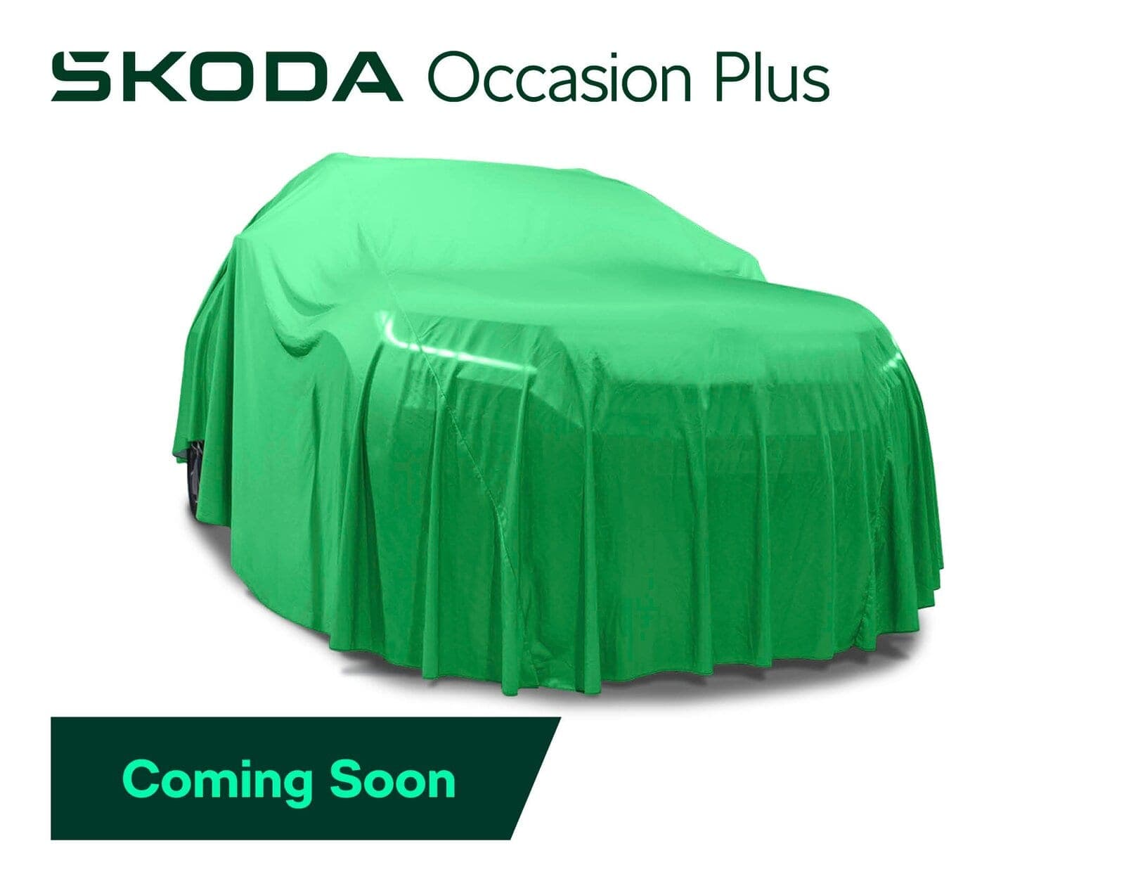 Skoda Kodiaq Kodiaq 2.0 TSI 4x4 DSG Smile