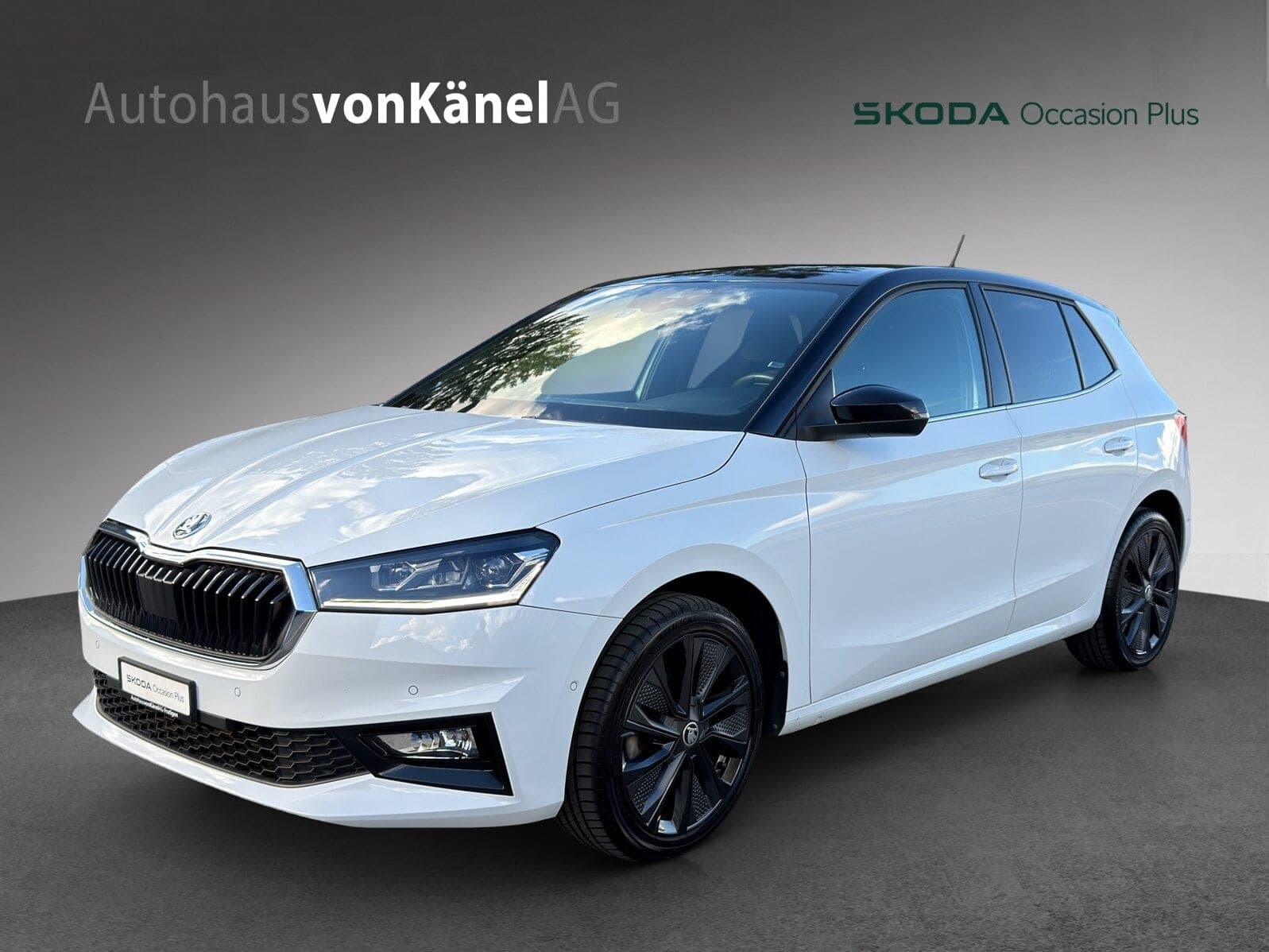 Skoda Fabia Fabia Style