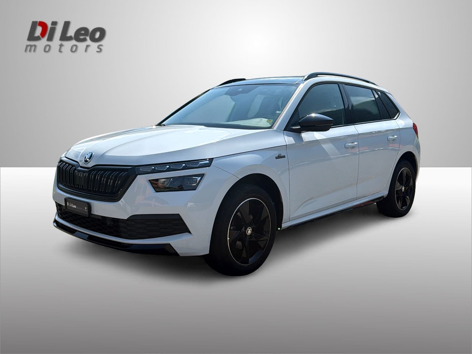 Skoda Kamiq SKODA Kamiq 1.0 TSI Monte Carlo DSG