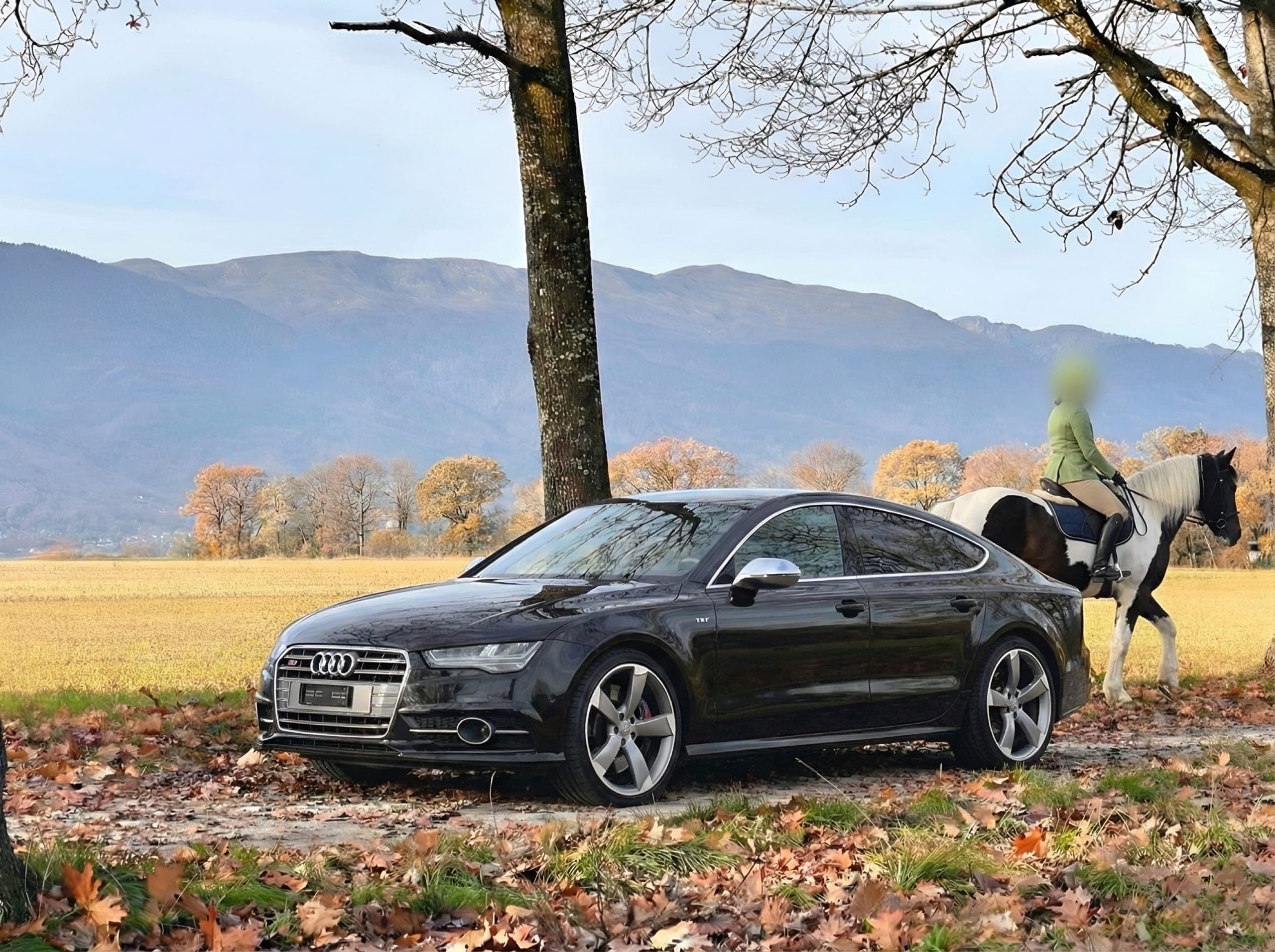 Audi S7 AUDI S7 Sportback 4.0 TFSI V8 quattro S-tronic