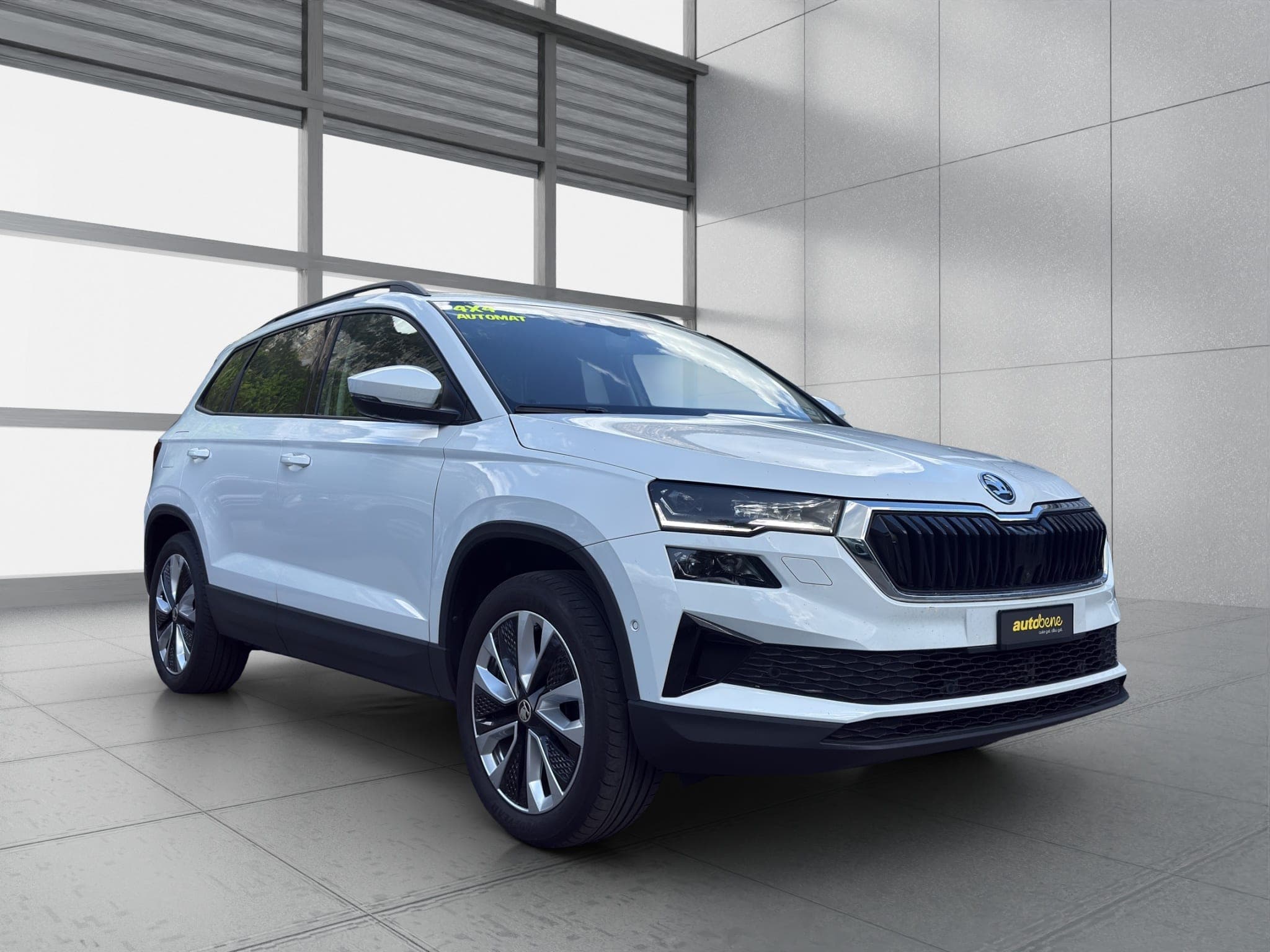 Skoda Karoq SKODA Karoq 2.0 TDI CR Style 4x4 DSG