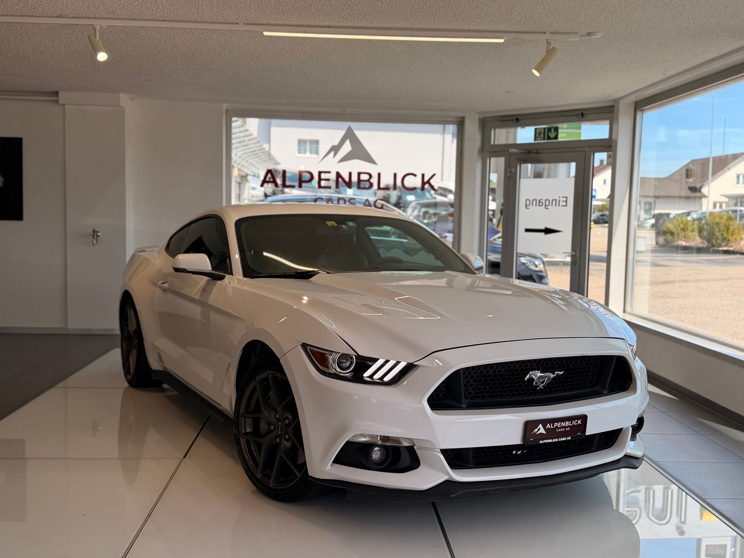 Ford Mustang FORD Mustang Fastback 5.0 V8 GT Automat