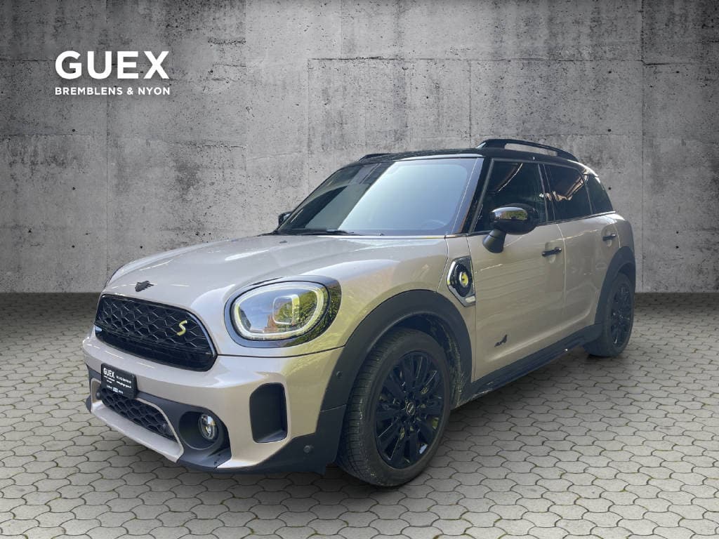 Mini Mini Countryman