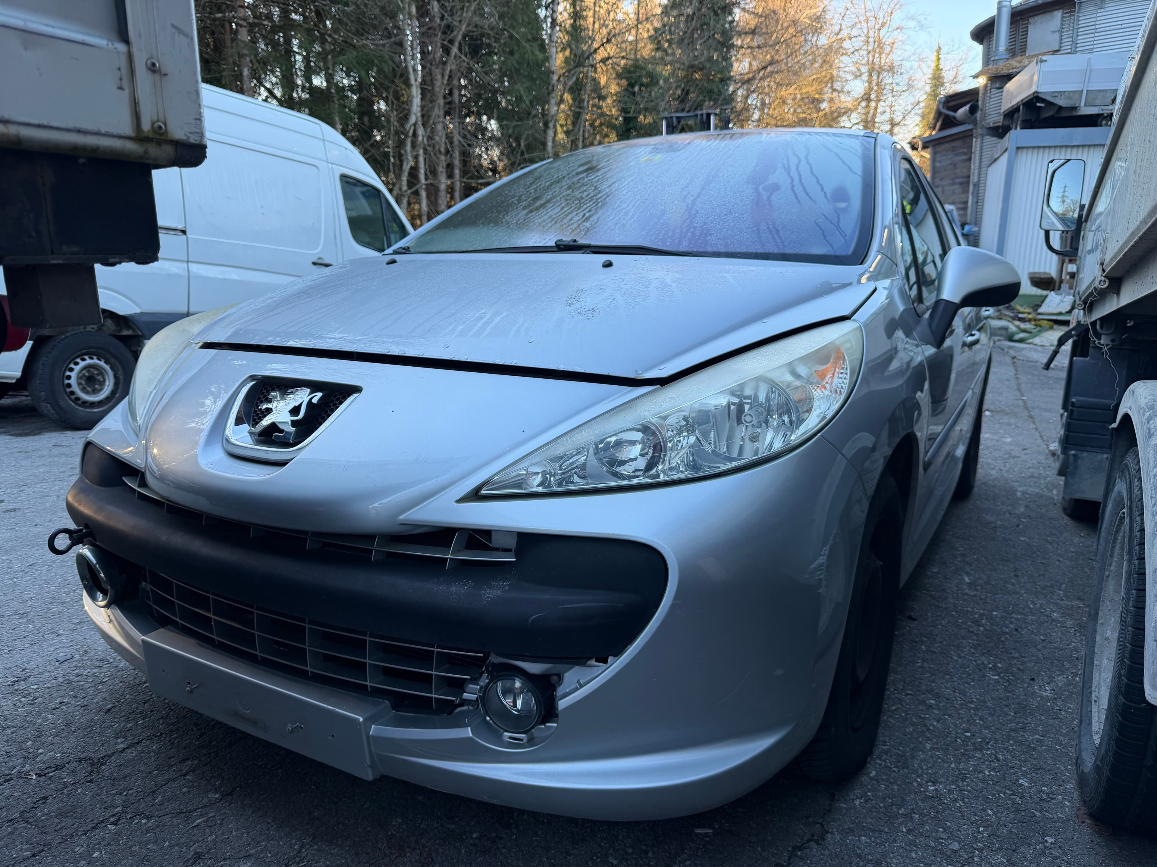 Peugeot 207