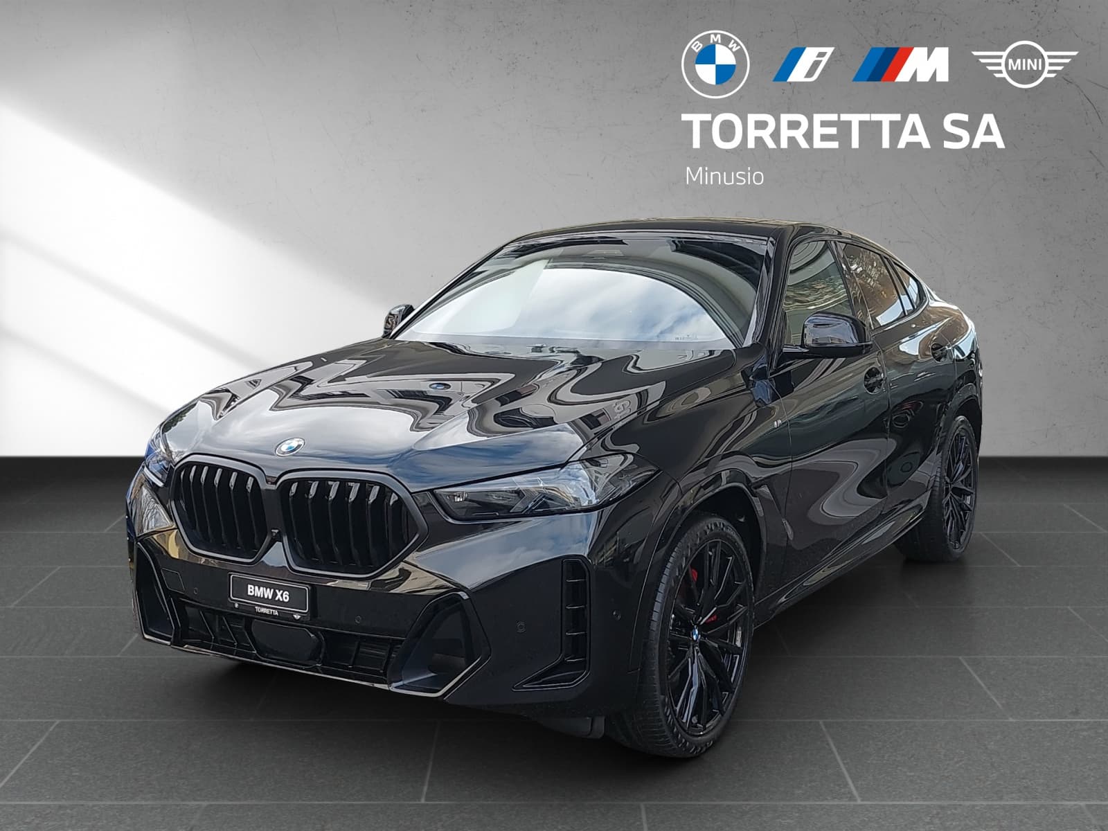 BMW X6