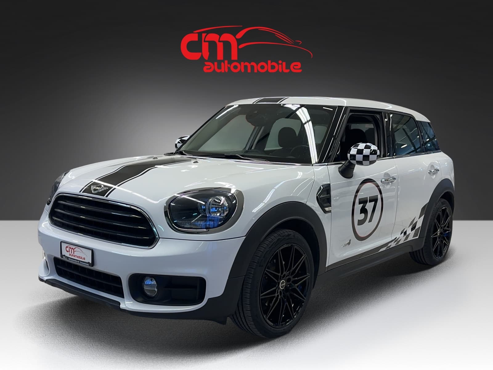 Mini Mini Countryman