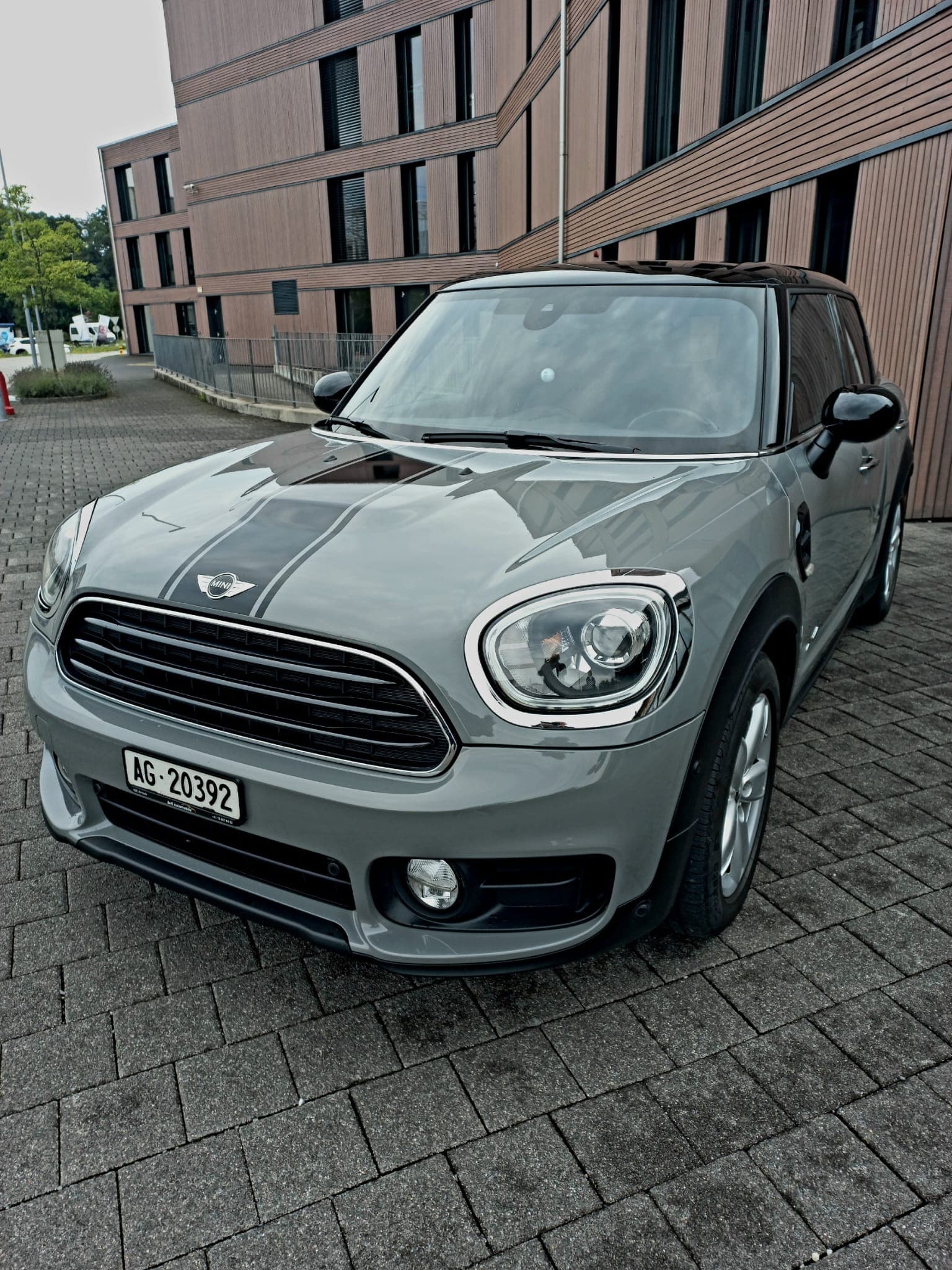 Mini Mini Countryman