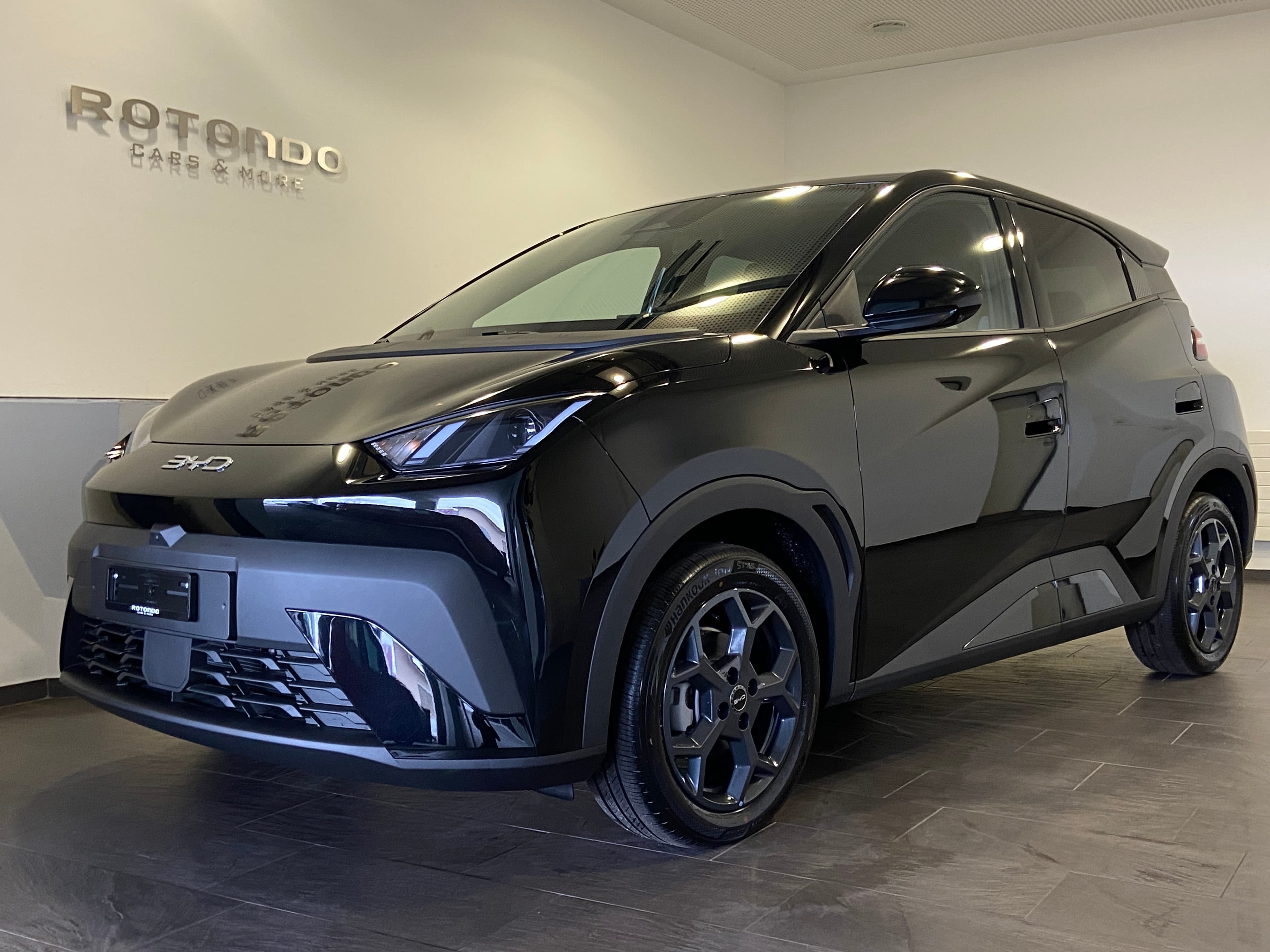 BYD Dolphin Surf